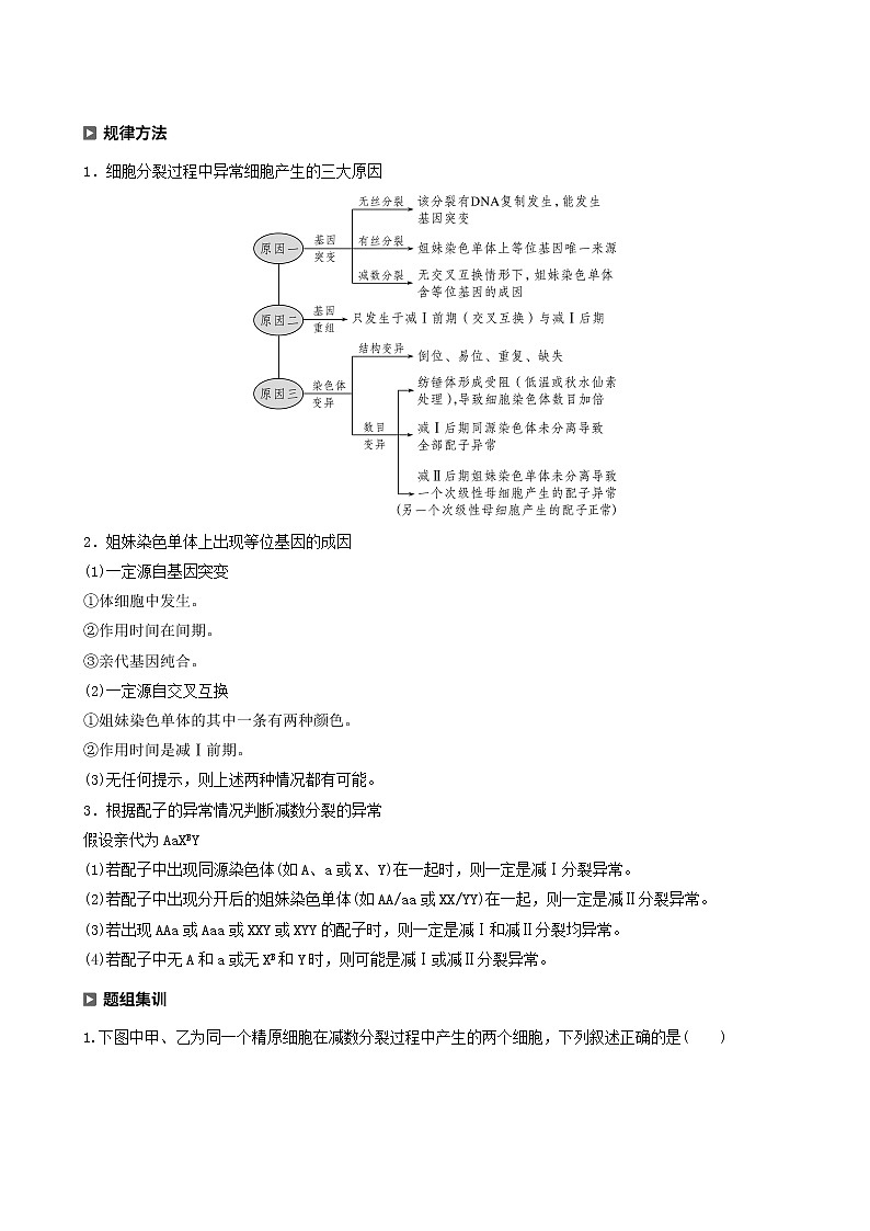 高考生物二轮复习专题1细胞的分子组成、基本结构和生命历程热点题型2细胞分裂与遗传变异的关系学案含答案02