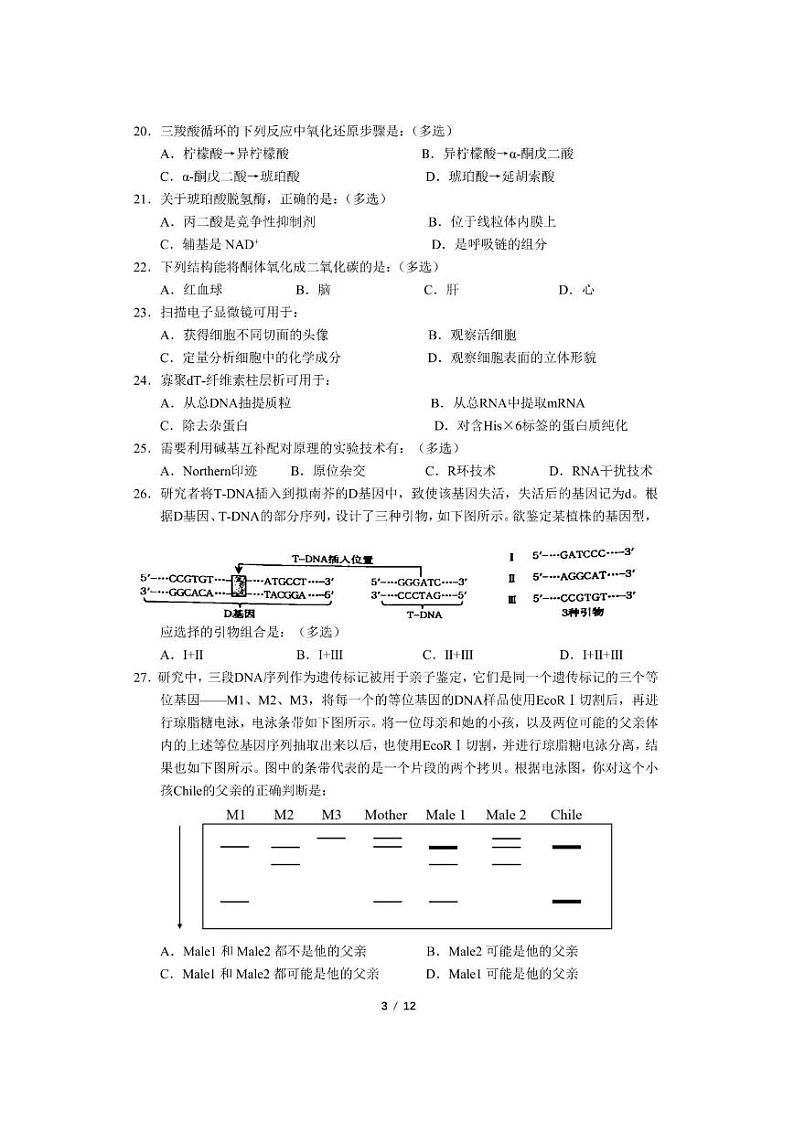 2022年全国中学生生物学联赛（广东赛区）试题03