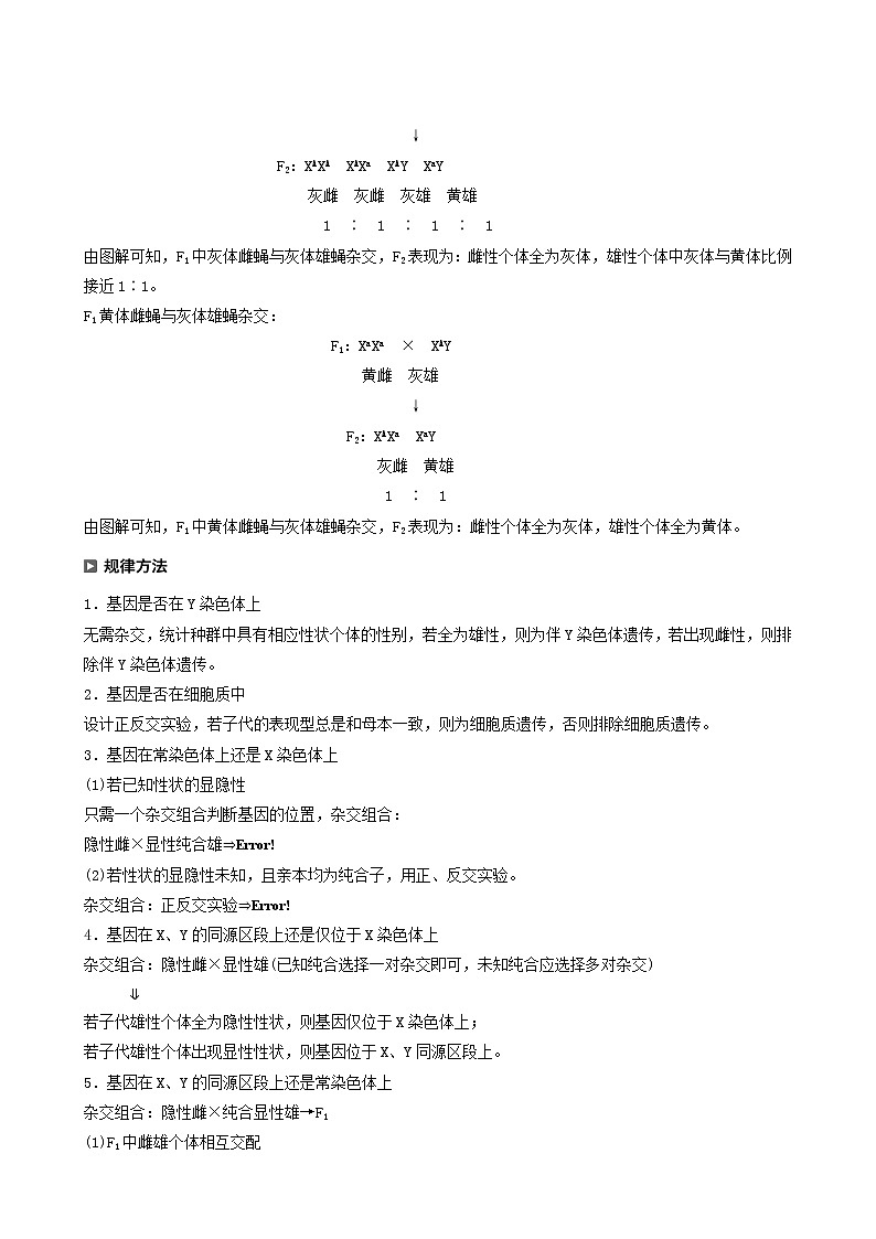 高考生物二轮复习专题3遗传、变异与进化热点题型6设计杂交试验判定基因的位置学案含答案第2页