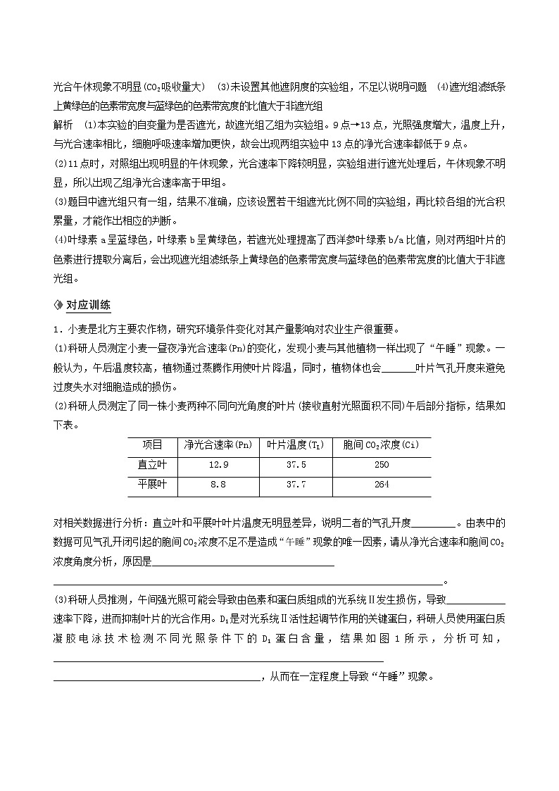 高考生物二轮复习专题8核心题型突破题型5植物生理类非选择题学案含答案第2页