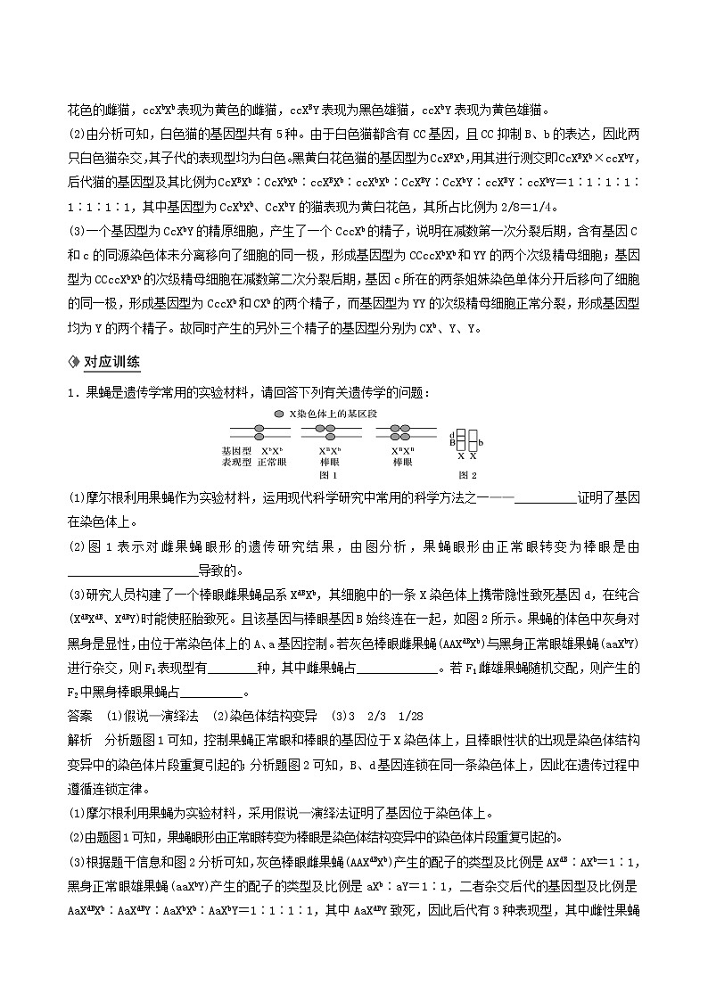 高考生物二轮复习专题8核心题型突破题型8遗传推理类非选择题学案含答案第2页