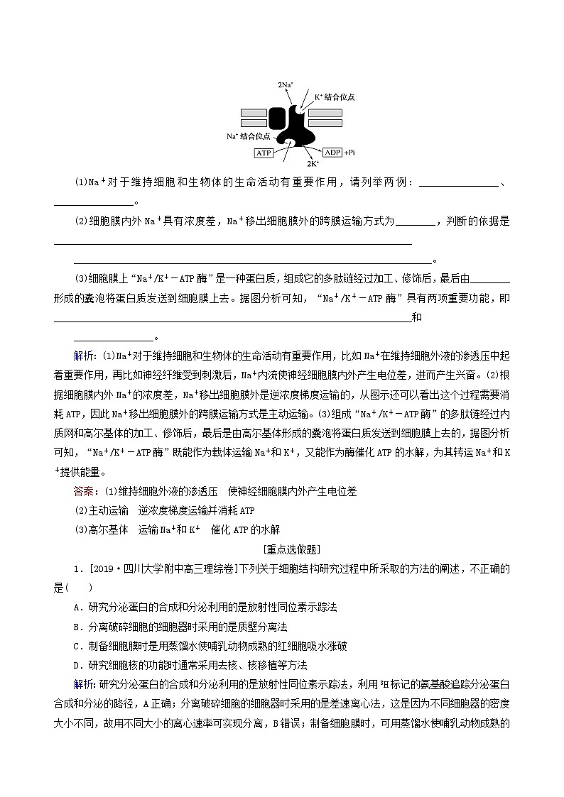 高考生物二轮复习（2）生命系统的结构基础训练含答案第3页