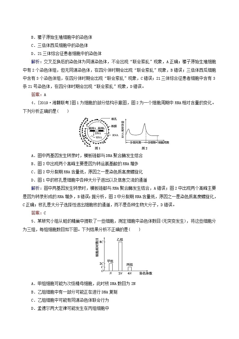 高考生物二轮复习（5）细胞增殖和受精作用训练含答案第2页