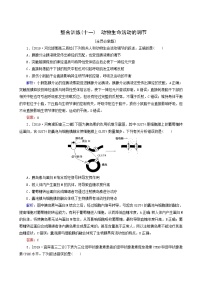 高考生物二轮复习（11）动物生命活动的调节训练含答案