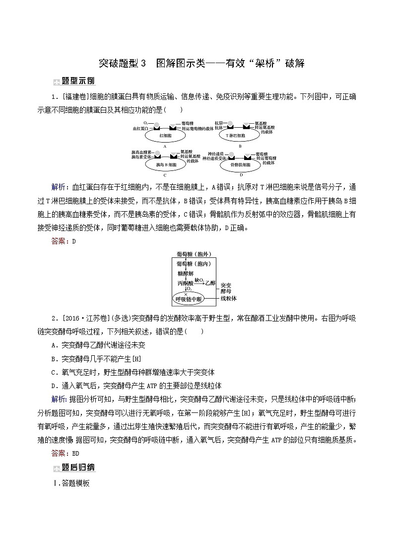 高考生物二轮复习3图解图示类-有效“架桥”破解训练含答案第1页