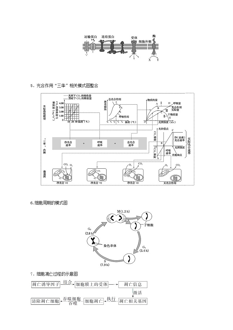 高考生物二轮复习3图解图示类-有效“架桥”破解训练含答案第3页