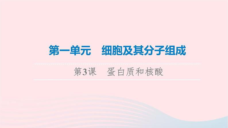 2023版高考生物一轮总复习第1单元细胞及其分子组成第3课蛋白质和核酸课件第1页