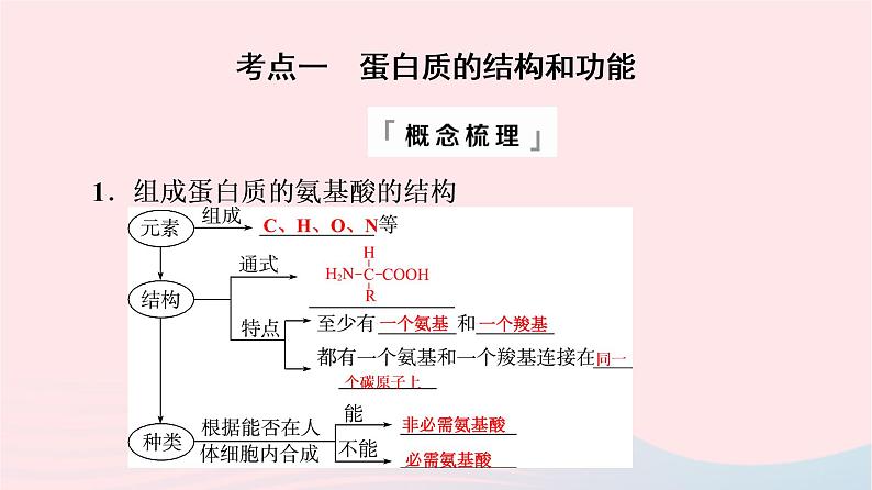 2023版高考生物一轮总复习第1单元细胞及其分子组成第3课蛋白质和核酸课件第4页