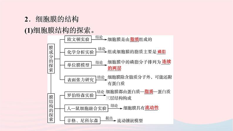 2023版高考生物一轮总复习第2单元细胞的基本结构第4课细胞膜和细胞核课件第7页