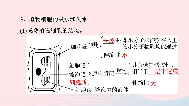 2023版高考生物一轮总复习第3单元细胞的能量供应和利用第6课细胞的物质输入和输出课件第6页
