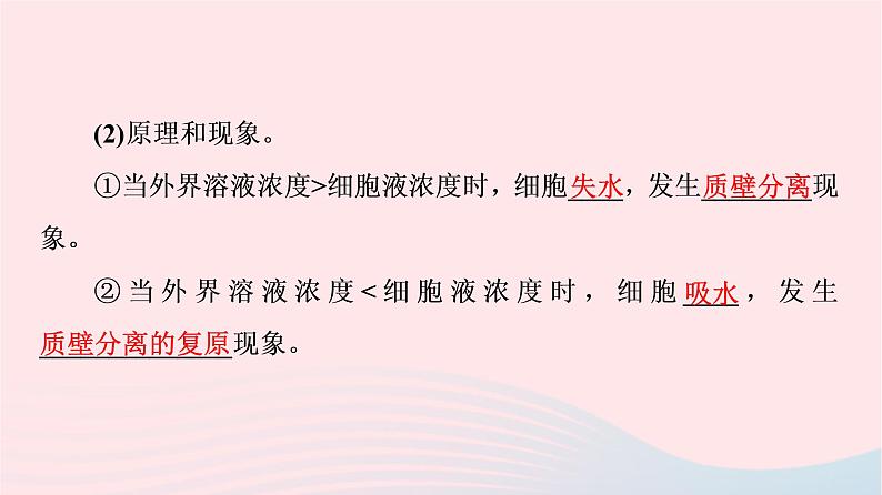 2023版高考生物一轮总复习第3单元细胞的能量供应和利用第6课细胞的物质输入和输出课件第7页