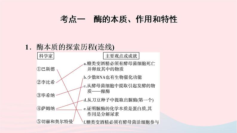 2023版高考生物一轮总复习第3单元细胞的能量供应和利用第7课酶和ATP课件04