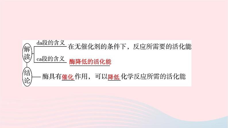 2023版高考生物一轮总复习第3单元细胞的能量供应和利用第7课酶和ATP课件07