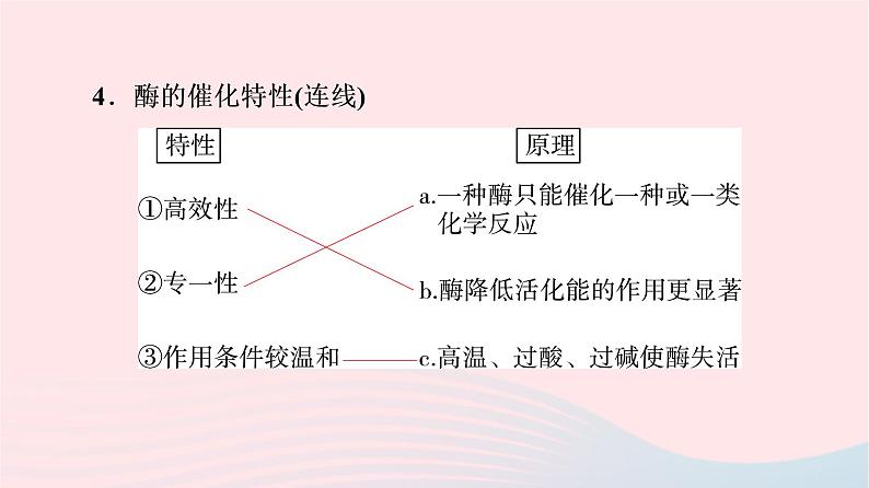 2023版高考生物一轮总复习第3单元细胞的能量供应和利用第7课酶和ATP课件08