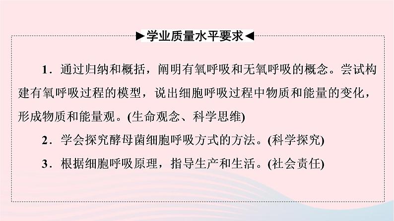 2023版高考生物一轮总复习第3单元细胞的能量供应和利用第8课细胞呼吸的原理和应用课件02