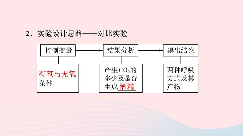 2023版高考生物一轮总复习第3单元细胞的能量供应和利用第8课细胞呼吸的原理和应用课件05