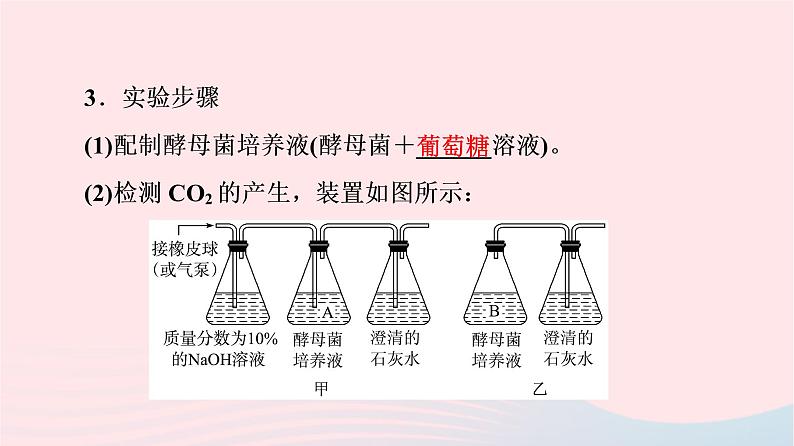 2023版高考生物一轮总复习第3单元细胞的能量供应和利用第8课细胞呼吸的原理和应用课件06