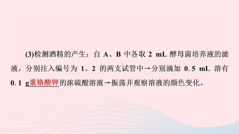 2023版高考生物一轮总复习第3单元细胞的能量供应和利用第8课细胞呼吸的原理和应用课件07