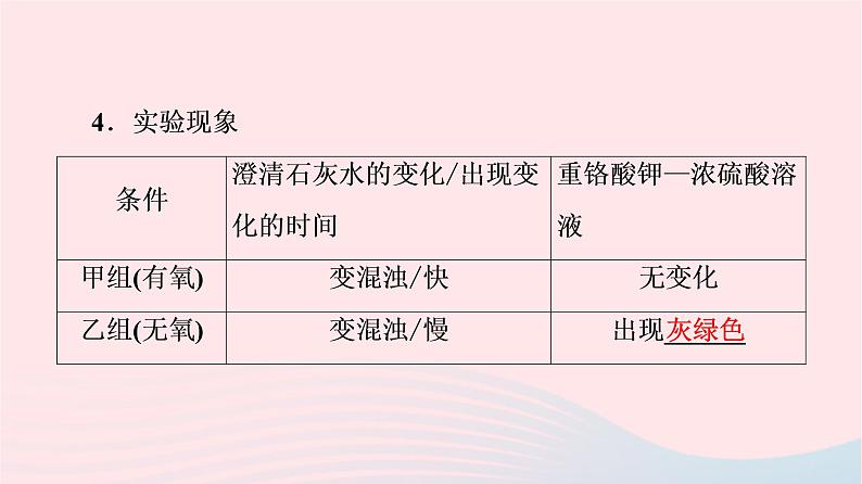 2023版高考生物一轮总复习第3单元细胞的能量供应和利用第8课细胞呼吸的原理和应用课件08