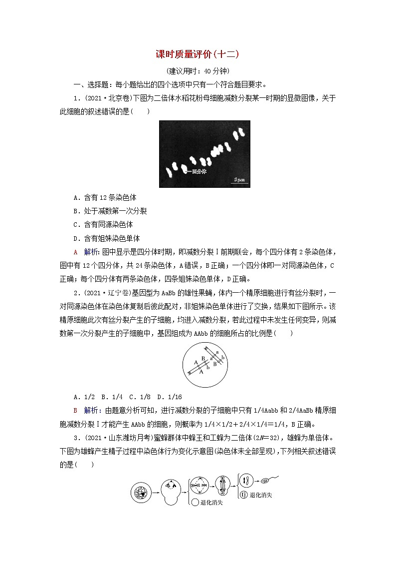 2023版高考生物一轮总复习课时质量评价12减数分裂和受精作用第1页