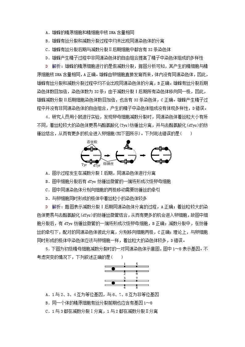 2023版高考生物一轮总复习课时质量评价12减数分裂和受精作用第2页