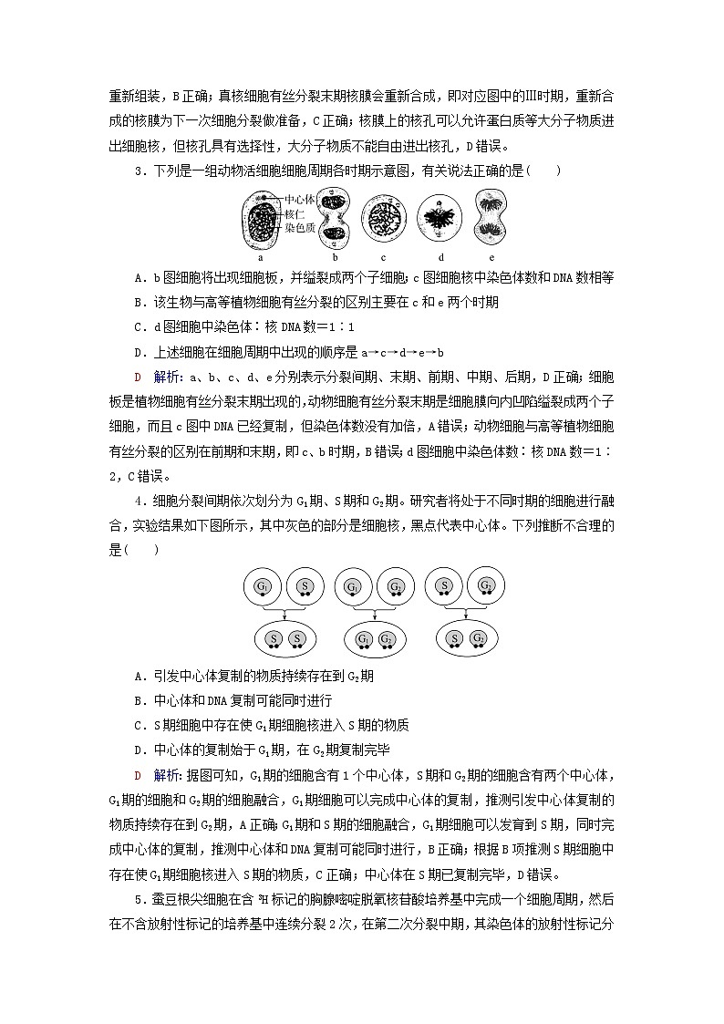 2023版高考生物一轮总复习课时质量评价11细胞的增殖第2页