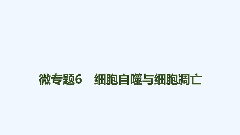 2023版创新设计高考生物（新教材人教版）总复习一轮课件微专题6 细胞自噬与细胞凋亡第1页