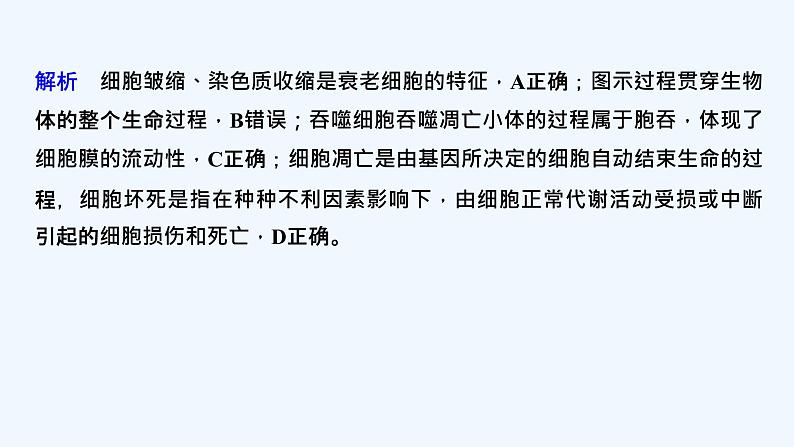 2023版创新设计高考生物（新教材人教版）总复习一轮课件微专题6 细胞自噬与细胞凋亡第6页