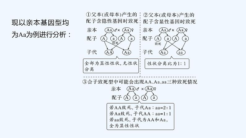 2023版创新设计高考生物（新教材人教版）总复习一轮课件微专题7 分离定律遗传特例全扫描第3页