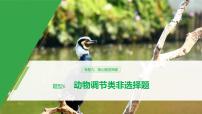 高考生物二轮复习专题9核心题型突破题型6动物调节类非选择题课件