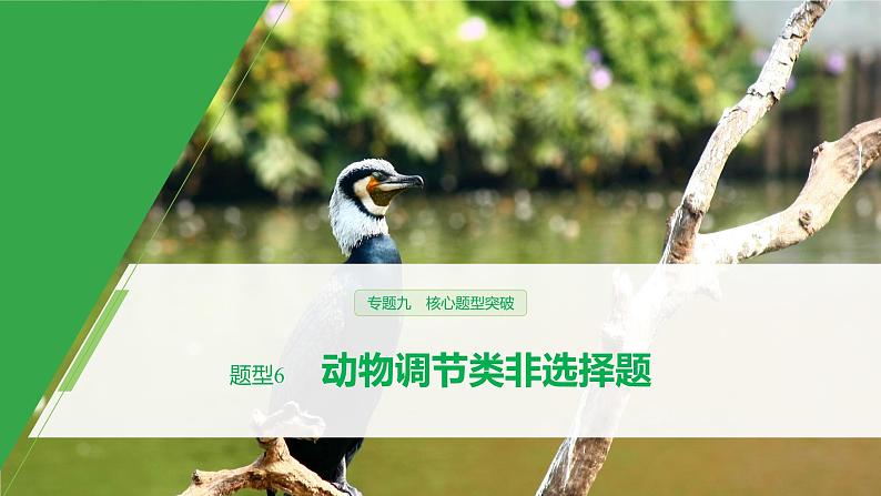 高考生物二轮复习专题9核心题型突破题型6动物调节类非选择题课件第1页