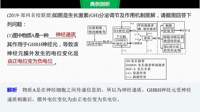 高考生物二轮复习专题9核心题型突破题型6动物调节类非选择题课件第4页