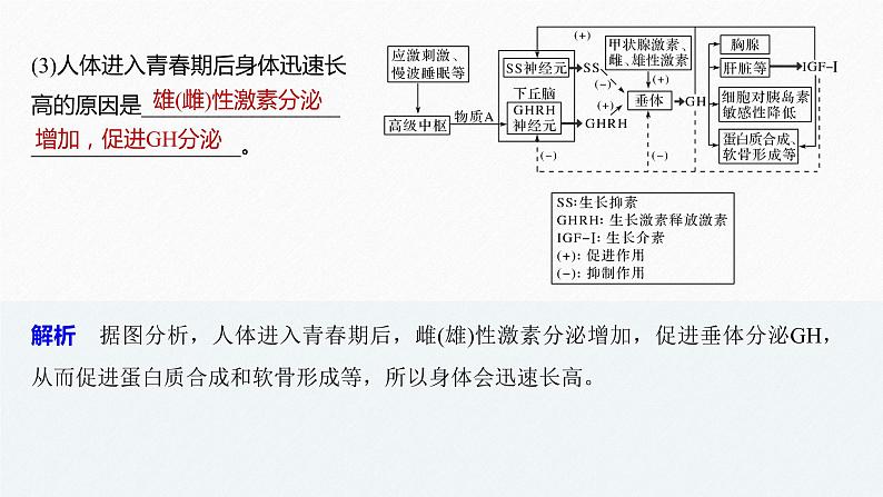 高考生物二轮复习专题9核心题型突破题型6动物调节类非选择题课件第6页