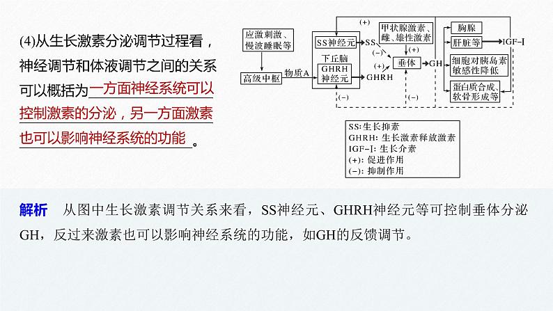 高考生物二轮复习专题9核心题型突破题型6动物调节类非选择题课件第7页