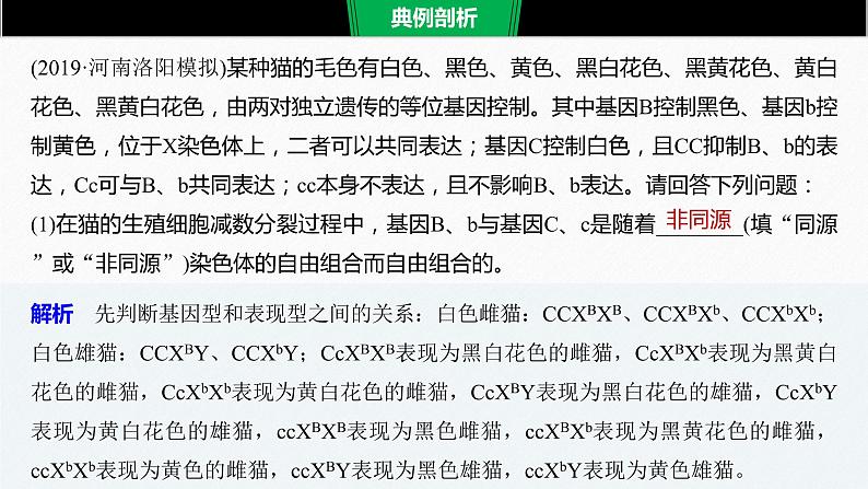 高考生物二轮复习专题9核心题型突破题型8遗传推理类非选择题课件第4页