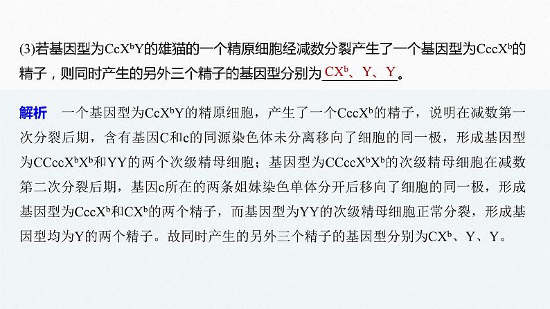 高考生物二轮复习专题9核心题型突破题型8遗传推理类非选择题课件第6页