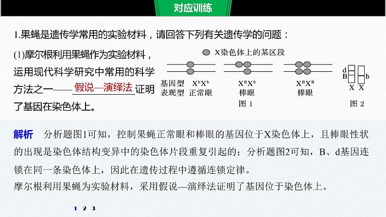 高考生物二轮复习专题9核心题型突破题型8遗传推理类非选择题课件第7页