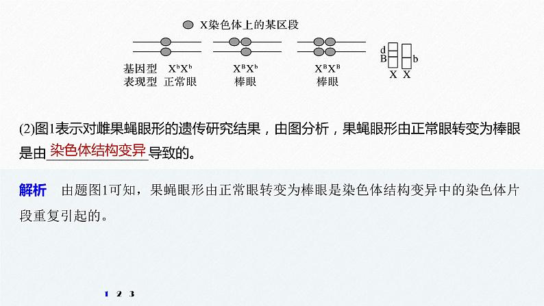 高考生物二轮复习专题9核心题型突破题型8遗传推理类非选择题课件第8页