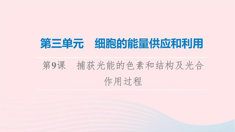 2023版高考生物一轮总复习第3单元细胞的能量供应和利用第9课捕获光能的色素和结构及光合作用过程课件第1页