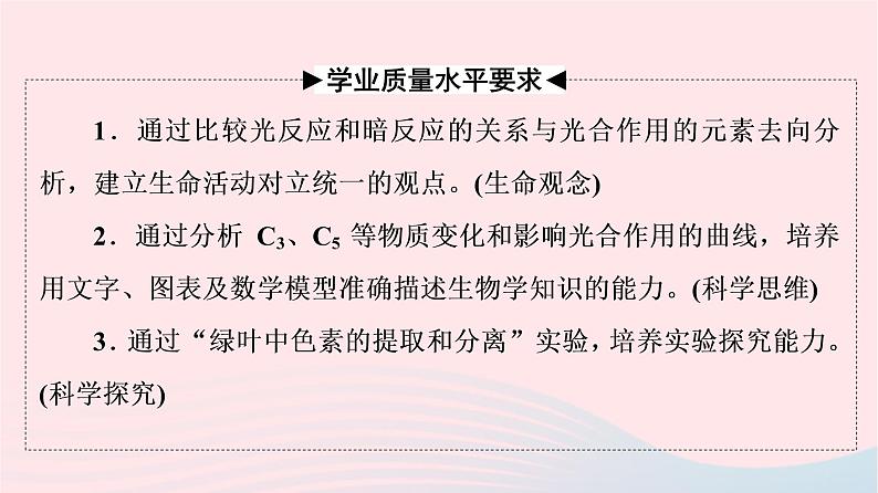 2023版高考生物一轮总复习第3单元细胞的能量供应和利用第9课捕获光能的色素和结构及光合作用过程课件第2页