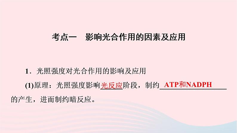 2023版高考生物一轮总复习第3单元细胞的能量供应和利用第10课影响光合作用的因素及应用课件第4页