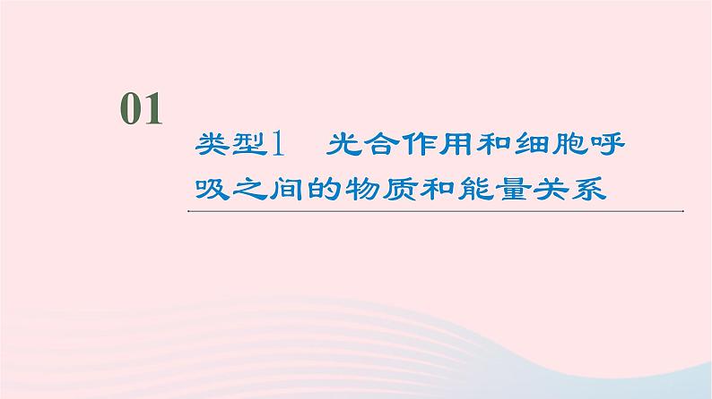 2023版高考生物一轮总复习第3单元细胞的能量供应和利用高频考点进阶课1.光合作用与细胞呼吸的综合应用课件第2页