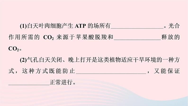 2023版高考生物一轮总复习第3单元细胞的能量供应和利用高频考点进阶课1.光合作用与细胞呼吸的综合应用课件第4页