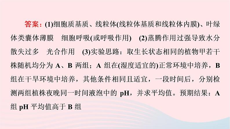 2023版高考生物一轮总复习第3单元细胞的能量供应和利用高频考点进阶课1.光合作用与细胞呼吸的综合应用课件第8页