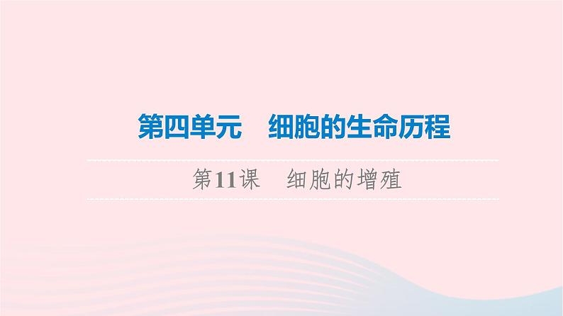 2023版高考生物一轮总复习第4单元细胞的生命历程第11课细胞的增殖课件01