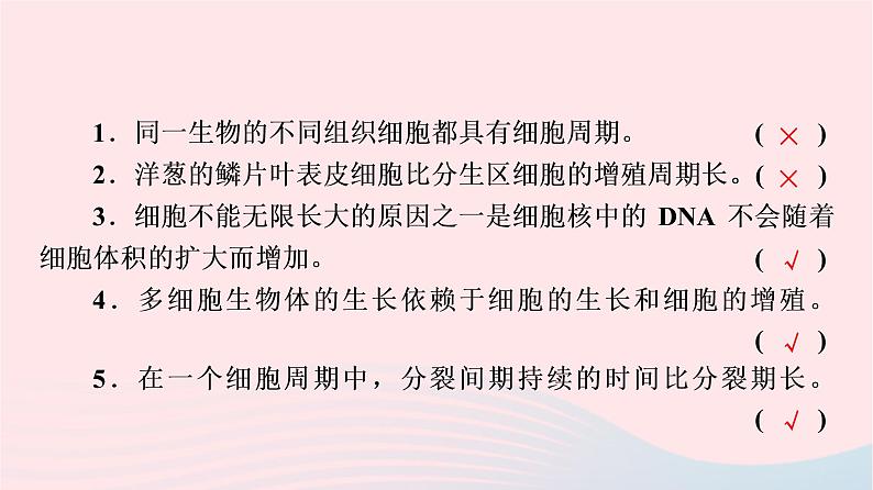 2023版高考生物一轮总复习第4单元细胞的生命历程第11课细胞的增殖课件06