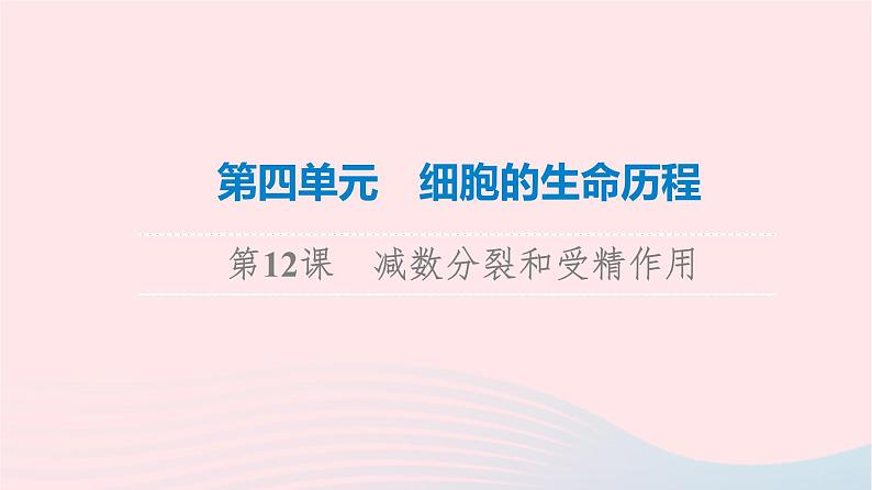 2023版高考生物一轮总复习第4单元细胞的生命历程第12课减数分裂和受精作用课件01