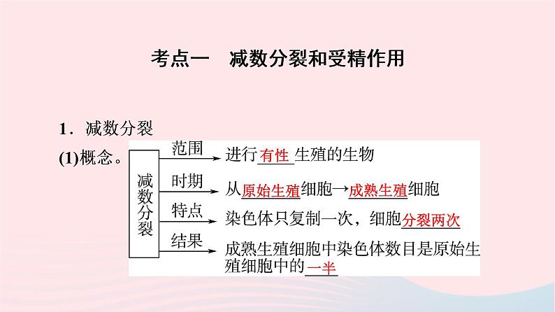 2023版高考生物一轮总复习第4单元细胞的生命历程第12课减数分裂和受精作用课件04