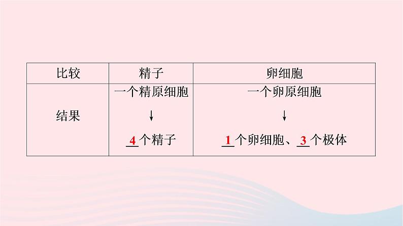 2023版高考生物一轮总复习第4单元细胞的生命历程第12课减数分裂和受精作用课件08