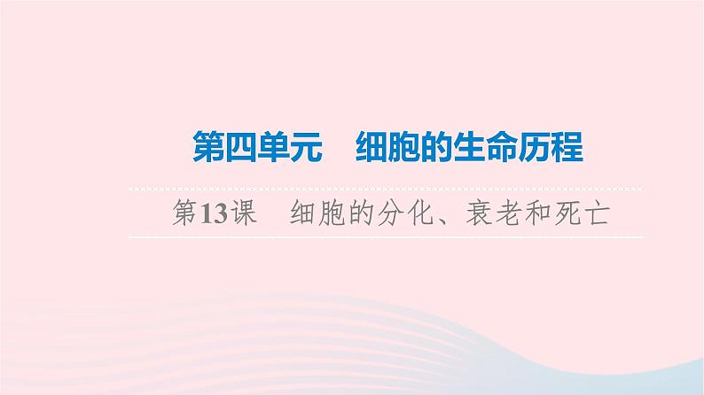 2023版高考生物一轮总复习第4单元细胞的生命历程第13课细胞的分化衰老和死亡课件01